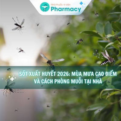 Sốt xuất huyết 2026: Mùa mưa cao điểm và cách phòng muỗi tại nhà